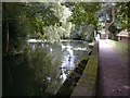 Nether Alderley Mill Pond