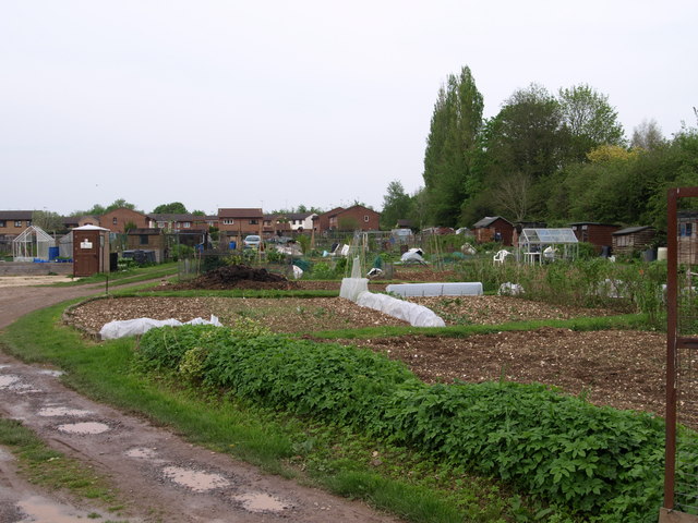 Andover - Barlow's Lane allotments in early May