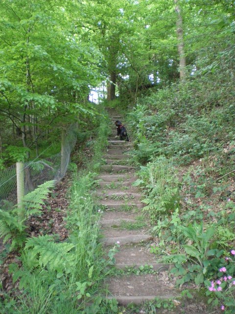 George's Steps, Lodge Hill