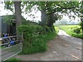 Sharp bend on Varchoel Lane