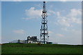 NS3632 : Radio mast by Scott