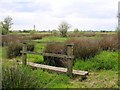 Crewe - Coppenhall Moss