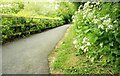 Path, Kiltonga, Newtownards