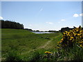 Ballinrees Reservoir