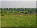 Looking SE from footpath to the S of Eastry