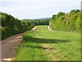 Gallops, Kimpton Down