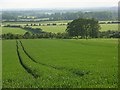 Farmland, Quarley