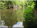 River Wey Navigation near Byfleet