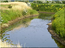TA1828 : Burstwick Drain near to the A1033 by Andy Beecroft