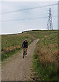 SD8426 : Pennine Bridleway near Windy Bank by michael ely