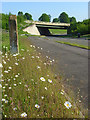 SU4770 : Milestone and daisies by the old A34, Donnington by Andrew Smith