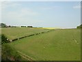 Towards Southwold farm