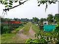 Romsey Town Allotments