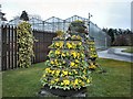 Greenhouses at Greenmount