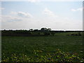 C9936 : Loughlinch farm by Willie Duffin