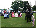 Crowning the queen at the village fair