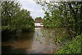 The mill pond at Mill Farm, Castlemorton