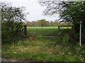 Footpath to Stokefield Farm