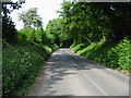 View along Swanton Lane