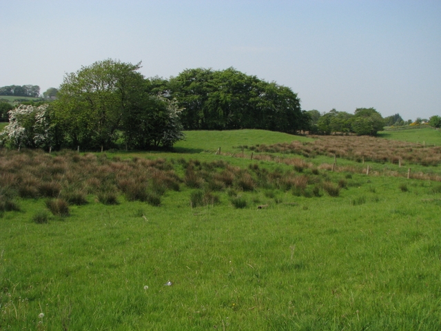 Fields north of Ballymena