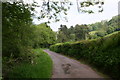 The lane to Ynys Clydach