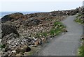 C9444 : Path, Giant's Causeway [1] by Rossographer