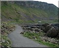 C9444 : Path, Giant's Causeway [2] by Rossographer