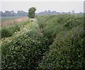 Stream through farmland