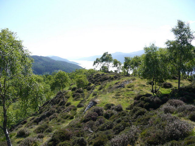 Hillside above Dubh-Lochan