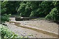 Rotting Boat in Saltmill Creek