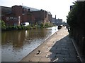 Shropshire Union Canal near the Frog and Nightingale