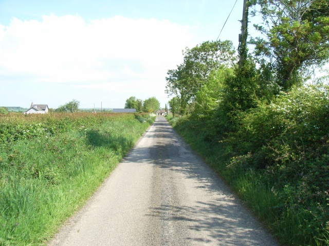 Lane at Crewbane, Near Slane, Co. Meath