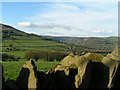 View of Llanbedr from bluebell wood