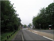 SU8835 : The A3 approaching Hindhead by Basher Eyre