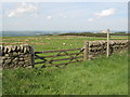 Footpath to Haydon Bridge