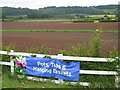 Fields at Leigh Sinton garden centre - 2008