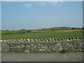 A gorse covered rock outcrop viewed from the B4545