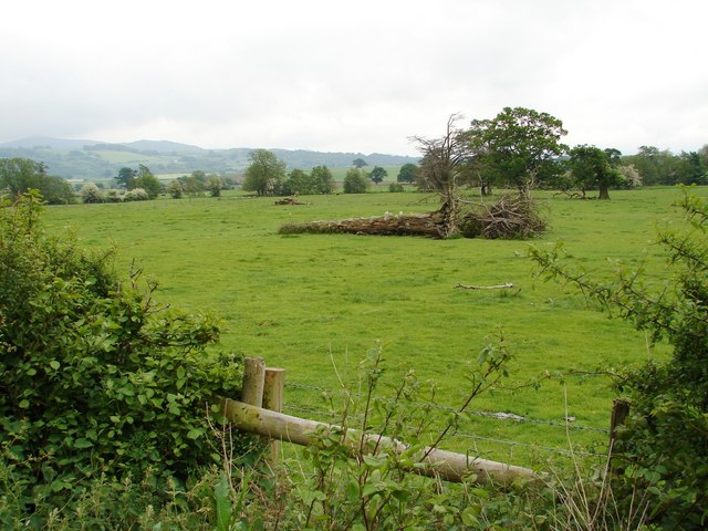 storm-damage-opposite-gunley-hall-ian-paterson-geograph-britain