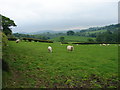 Fields Near Garth Hill