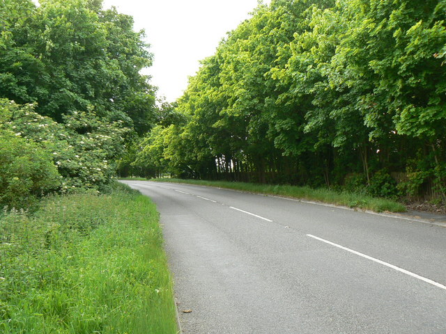 Farleigh Road