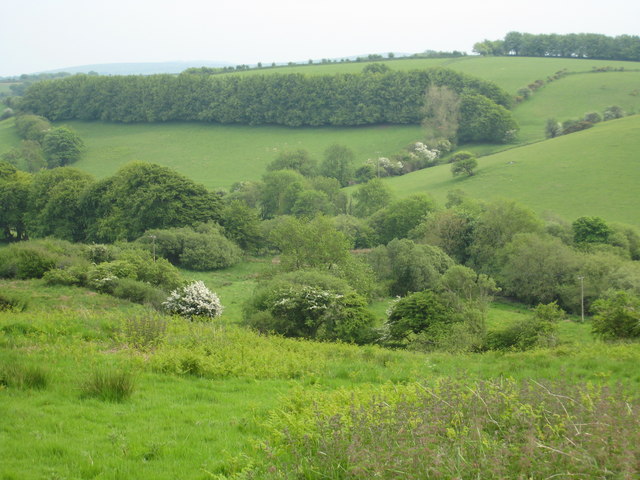 Looking across the Inny valley towards Polgray