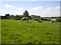 SP4174 : Wolston-Fosse Farm by Ian Rob