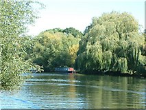 SP2155 : Willows on the Avon by Gerald England
