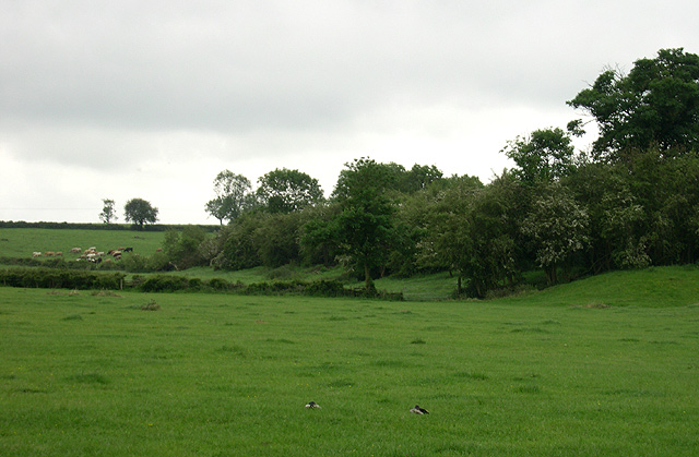 Grazing land, Crick, Northamptonshire