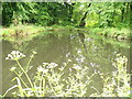 Turning Basin by Hermitage Woods