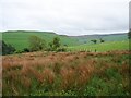 SJ1434 : Lush Grass Ahead by Ian Paterson