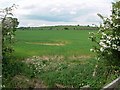 Countryside near Shellbrook, Leicestershire