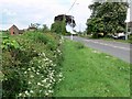 Moira Road near Ashby de la Zouch