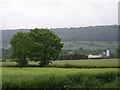 Across the field to The Gippols