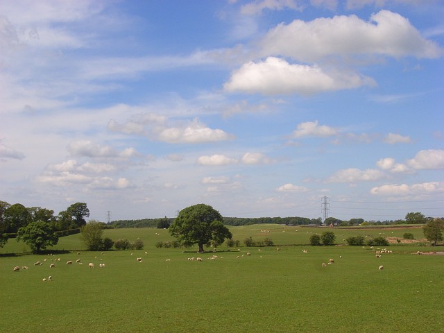 Pastures at Farlam
